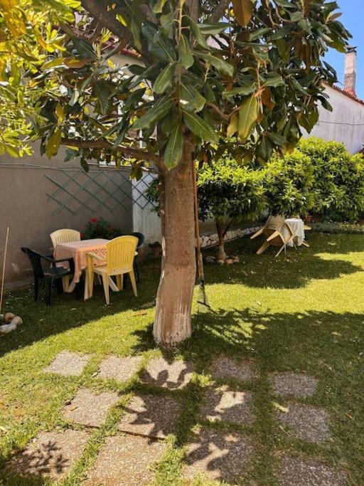 דירות Kírinthos Family Woodland Oasis Vipgreece מראה חיצוני תמונה